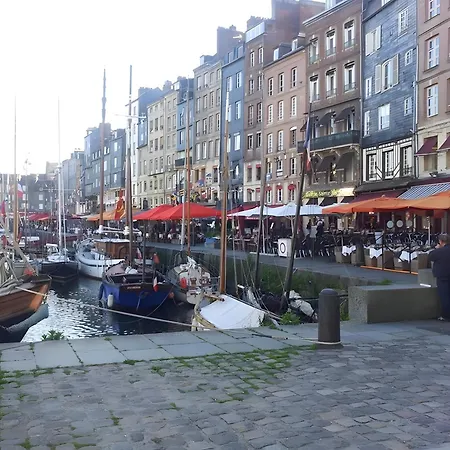 Daire Cote Fleurie -le D'honfleur Honfleur