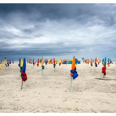 Daire Cote Fleurie -le D'honfleur