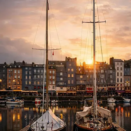 Daire Cote Fleurie -le D'honfleur